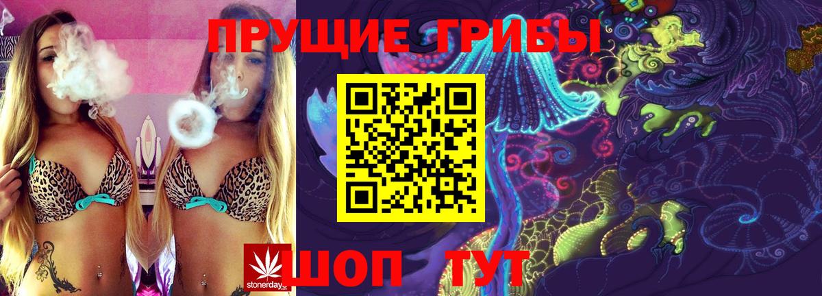 Балтийск  Псилоцибиновые грибы GOLDEN TEACHER  Вход с VPN  наркотики  Псилоцибиновые грибы MAGIC MUSHROOMS 