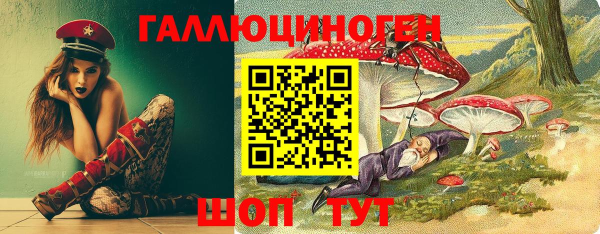Каннабис  ГАШ  Cocaine  Экстази  Балтийск  Меф   Вход с VPN 